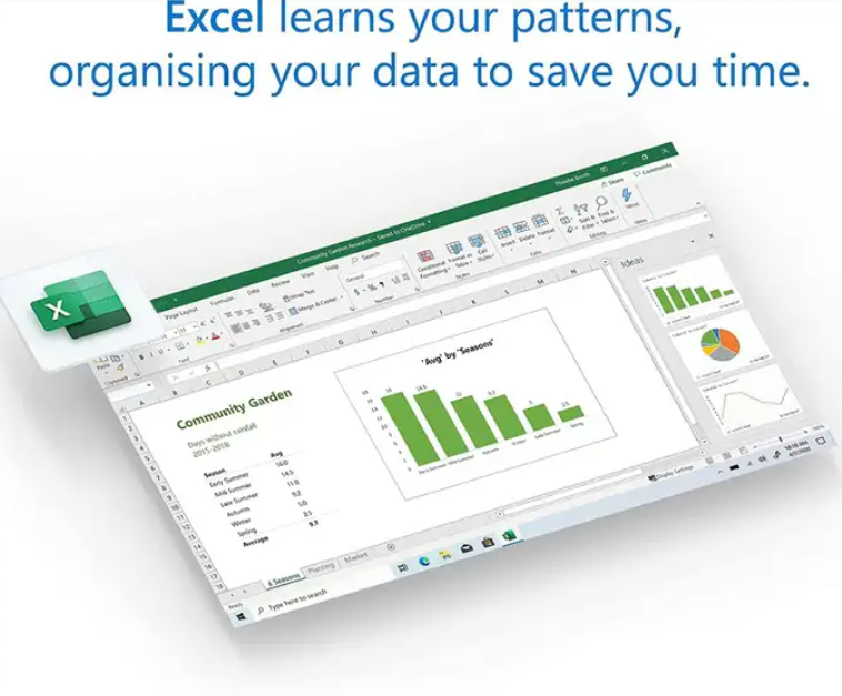 Office 2024 Professional