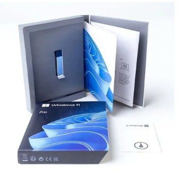 Windows 11 Professional USB Box - Single User Licence