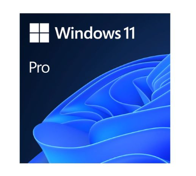 Microsoft Windows 11 Professional DVD Single User License