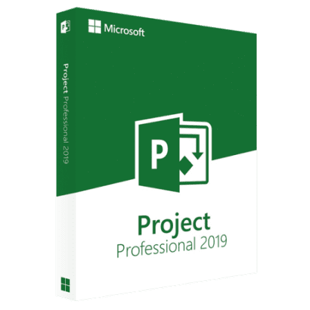 2019 Project Professional - Lifetime Activation