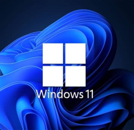 Windows 11 Professional - Lifetime Activation