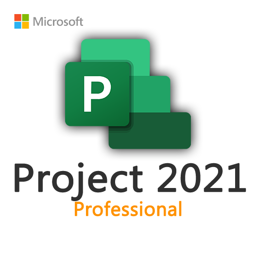 Project 2021 Professional