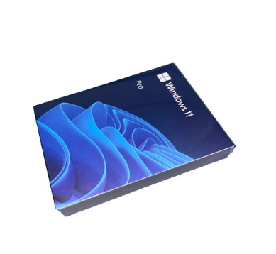 Windows 11 Professional USB Box - Single User Licence