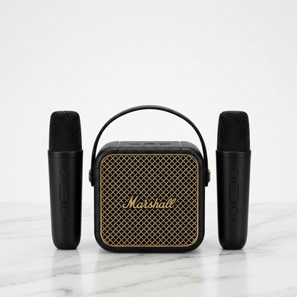 Mini Karaoke Amplifier with Microphones