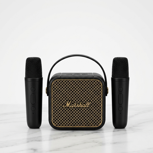 Mini Karaoke Amplifier with Microphones