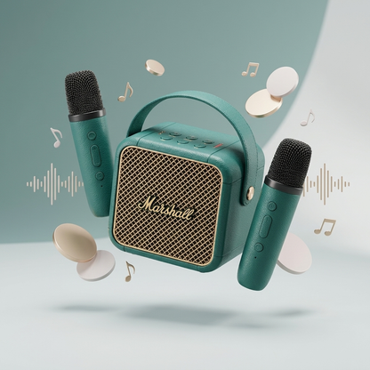 Mini Karaoke Amplifier with Microphones