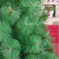 Christmas Tree - 2.1M