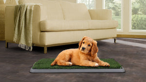 Dog Potty Patch - 43 x 68cm